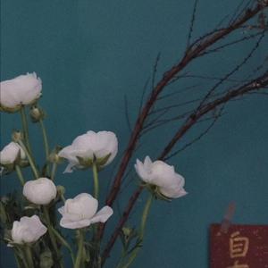 Sm女王圣水黄金视频
